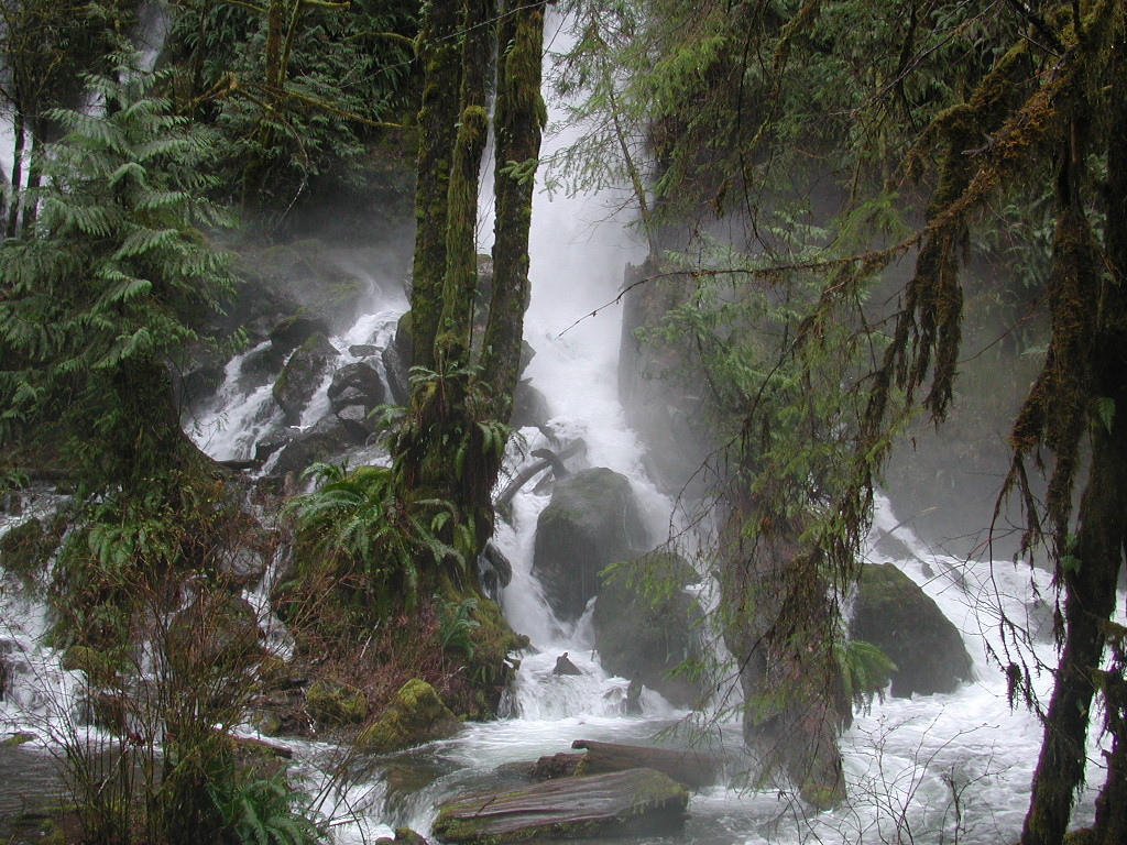 DSCN1761.jpg