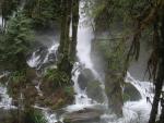 DSCN1761.jpg