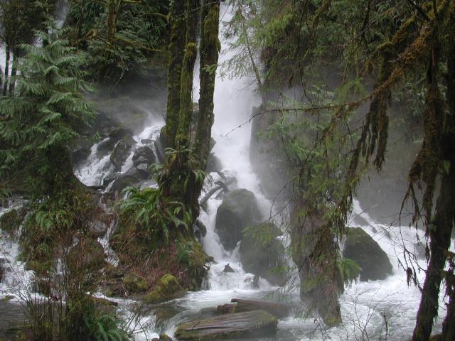 DSCN1761.jpg