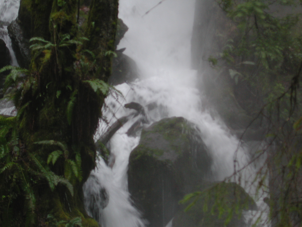 DSCN1762.jpg
