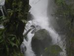 DSCN1762.jpg