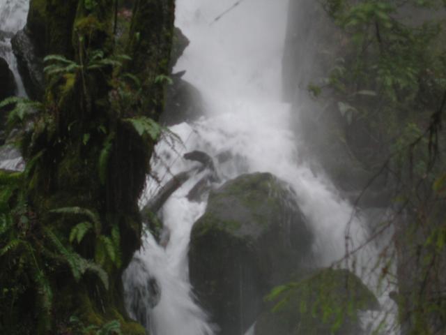 DSCN1762.jpg
