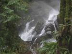 DSCN1763.jpg