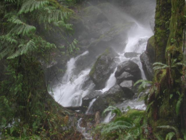 DSCN1763.jpg