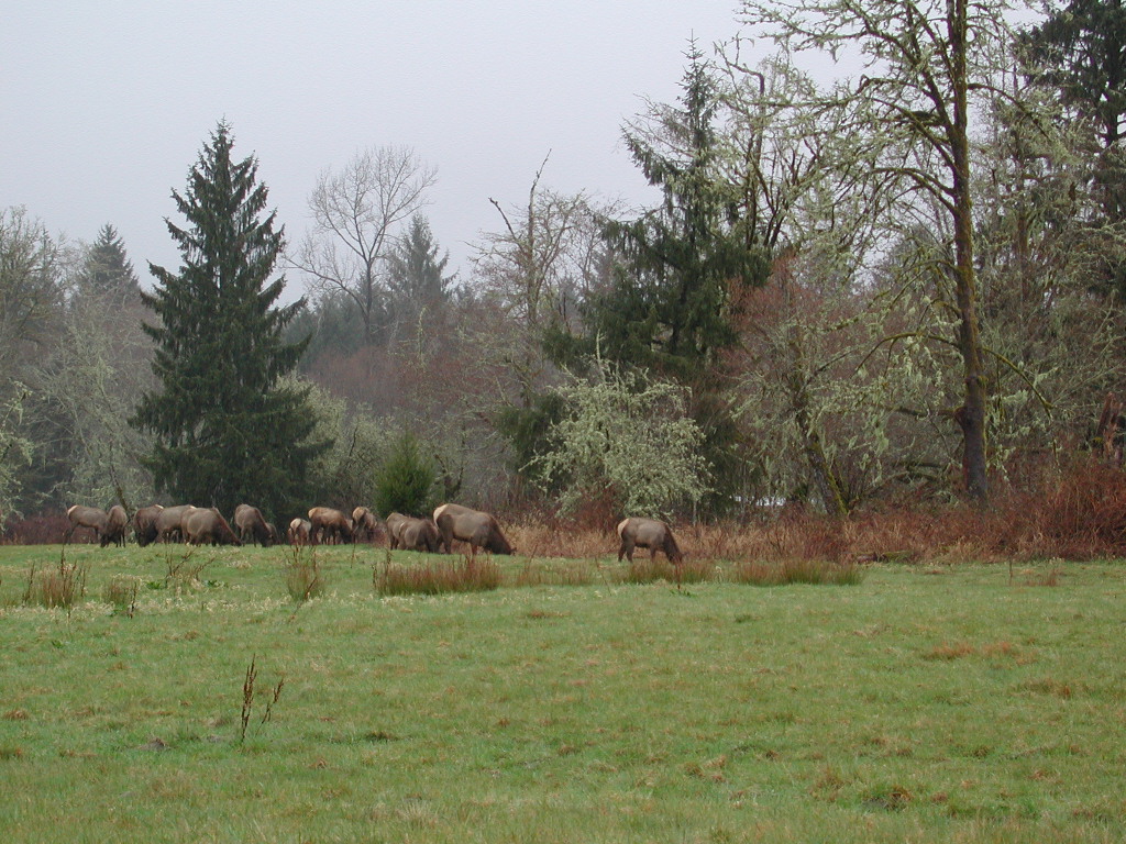 DSCN1764.jpg