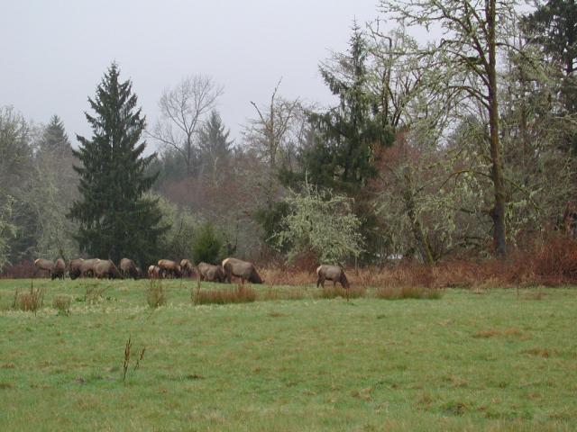DSCN1764.jpg