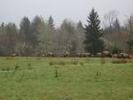 DSCN1765.jpg
