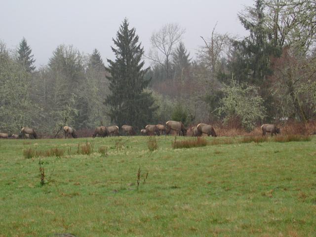 DSCN1766.jpg