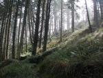 DSCN1767.jpg