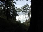 DSCN1768.jpg