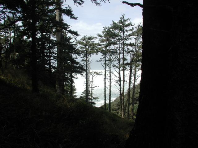 DSCN1768.jpg