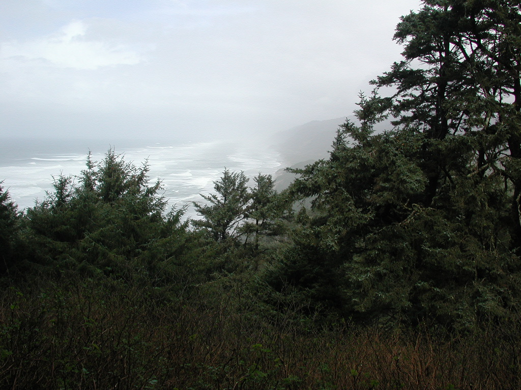 DSCN1769.jpg