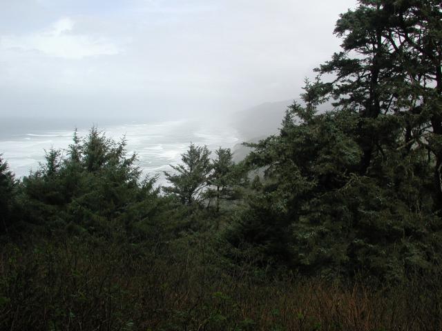 DSCN1769.jpg