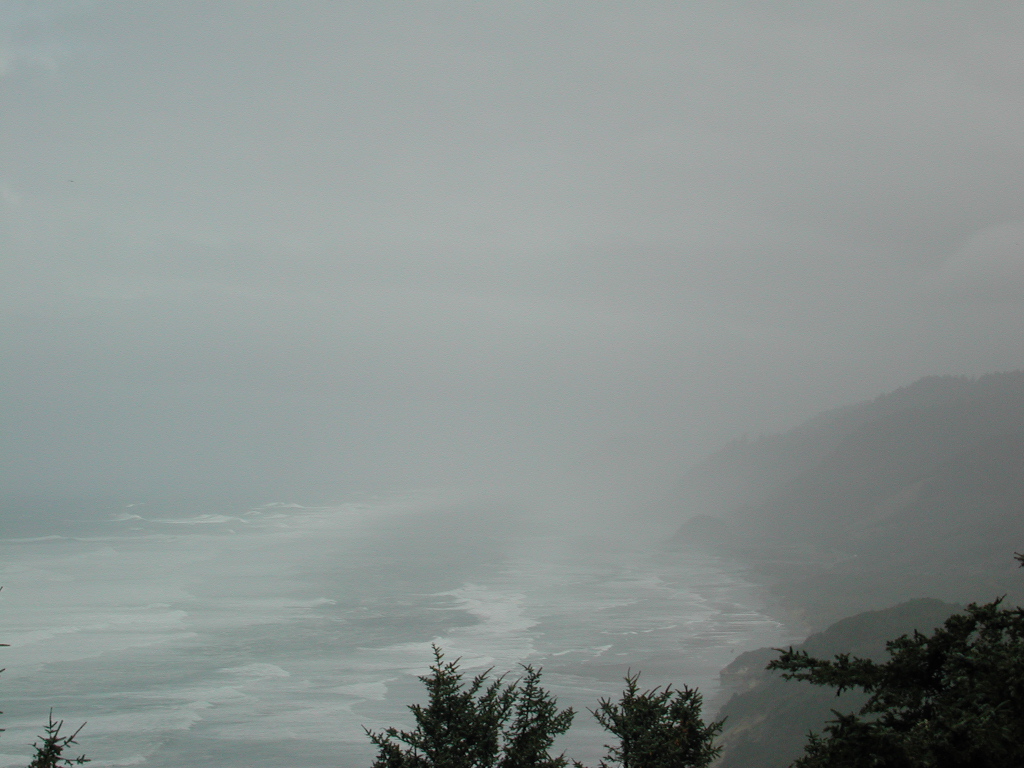 DSCN1770.jpg