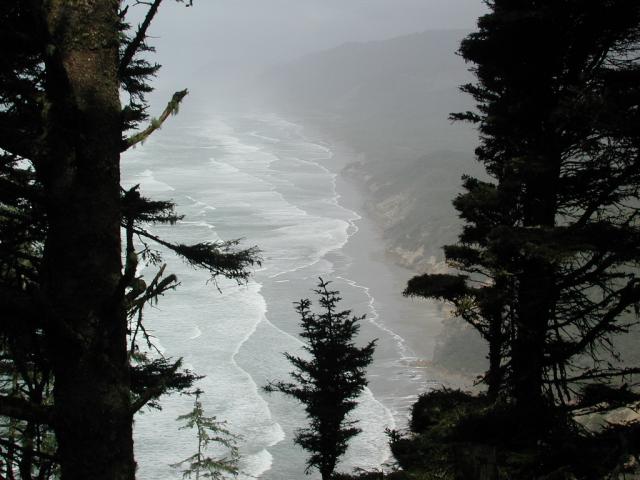 DSCN1772.jpg