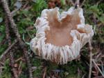 DSCN1773.jpg