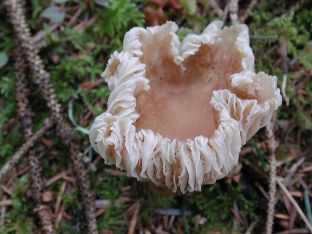 DSCN1773.jpg