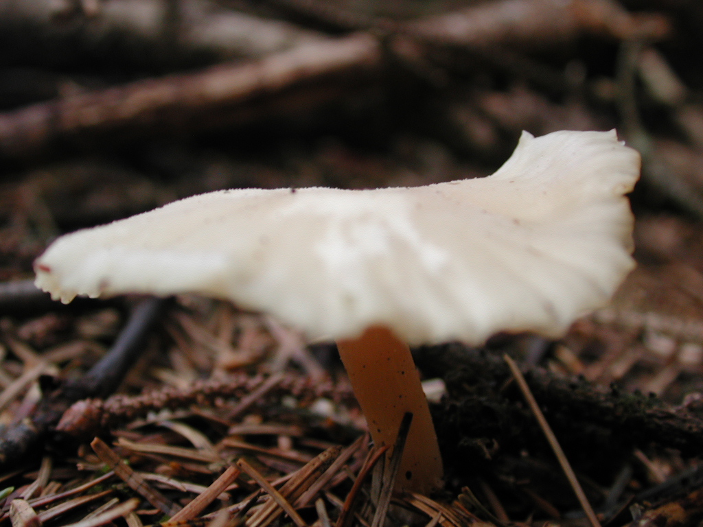 DSCN1776.jpg