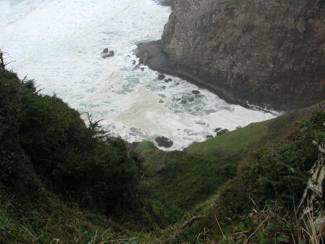 DSCN1779.jpg