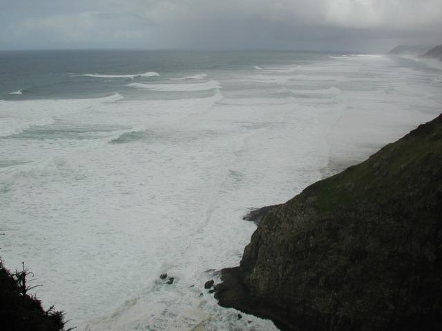 DSCN1780.jpg