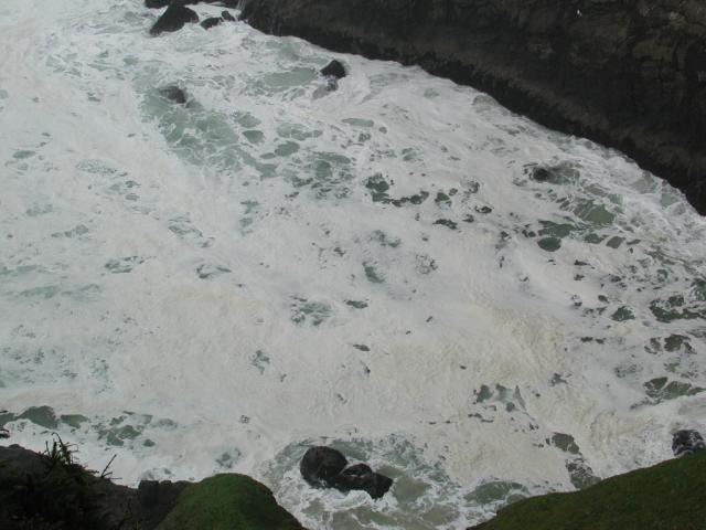 DSCN1781.jpg