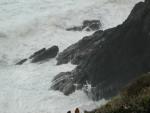 DSCN1785.jpg