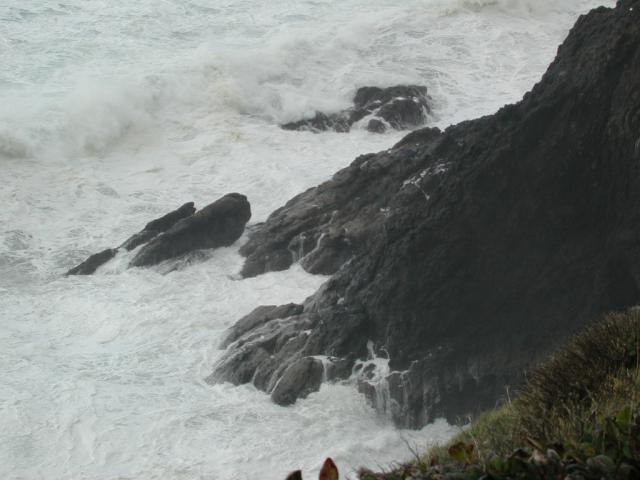 DSCN1785.jpg