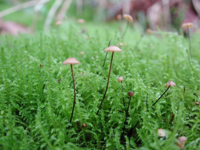 DSCN1790.jpg