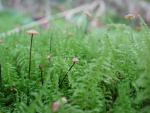 DSCN1791.jpg