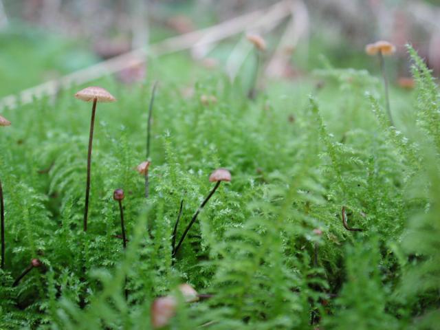 DSCN1791.jpg