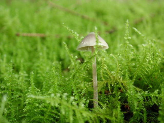 DSCN1792.jpg