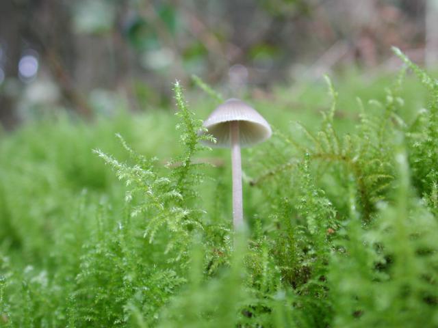 DSCN1793.jpg