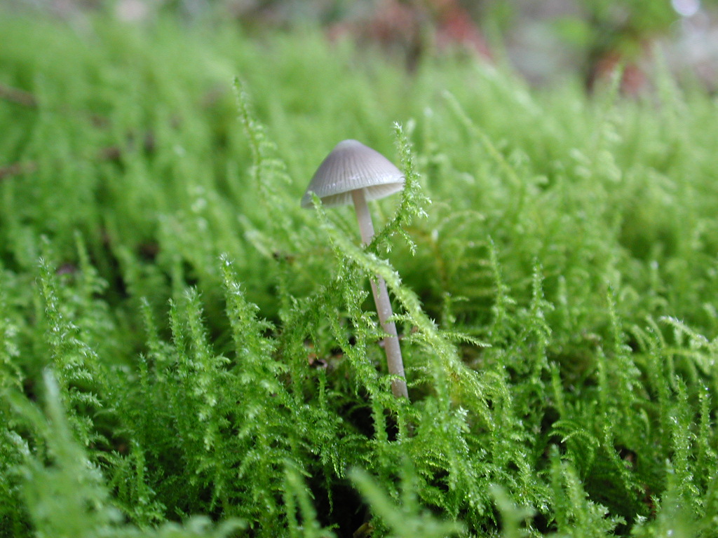 DSCN1794.jpg