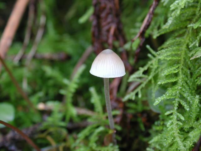DSCN1795.jpg