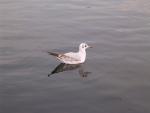 dscn0634.jpg
