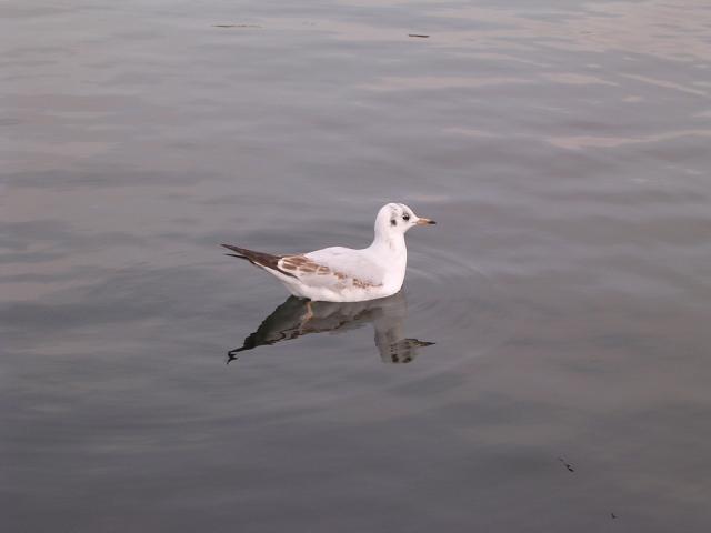 dscn0634.jpg