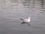 dscn0635.jpg