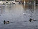 dscn0637.jpg