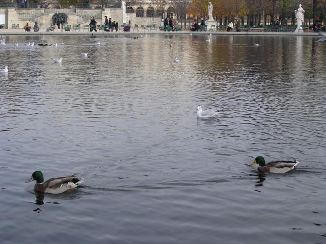 dscn0637.jpg