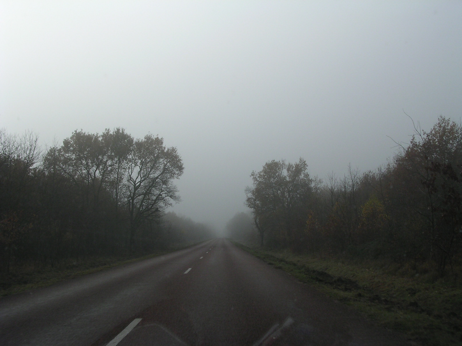 dscn0695.jpg