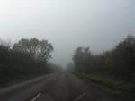 dscn0695.jpg
