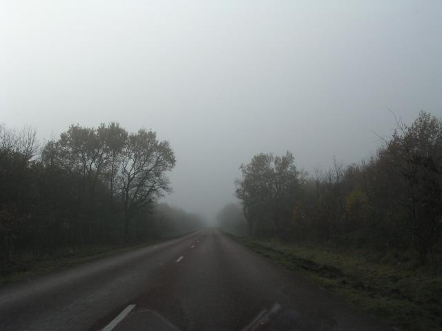 dscn0695.jpg