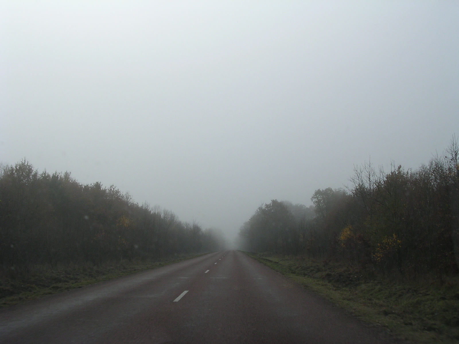 dscn0696.jpg