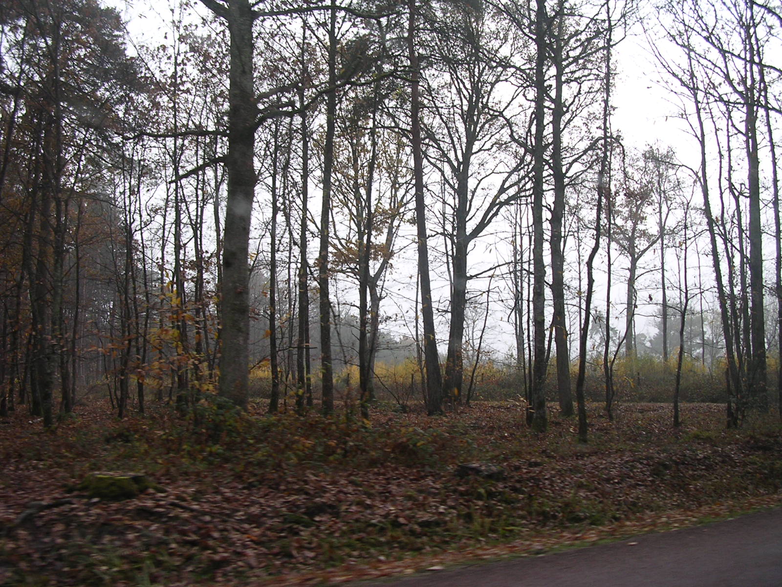 dscn0697.jpg