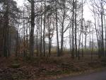 dscn0697.jpg
