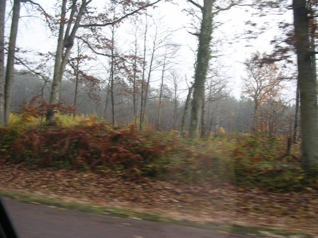 dscn0698.jpg
