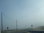 dscn0786.jpg