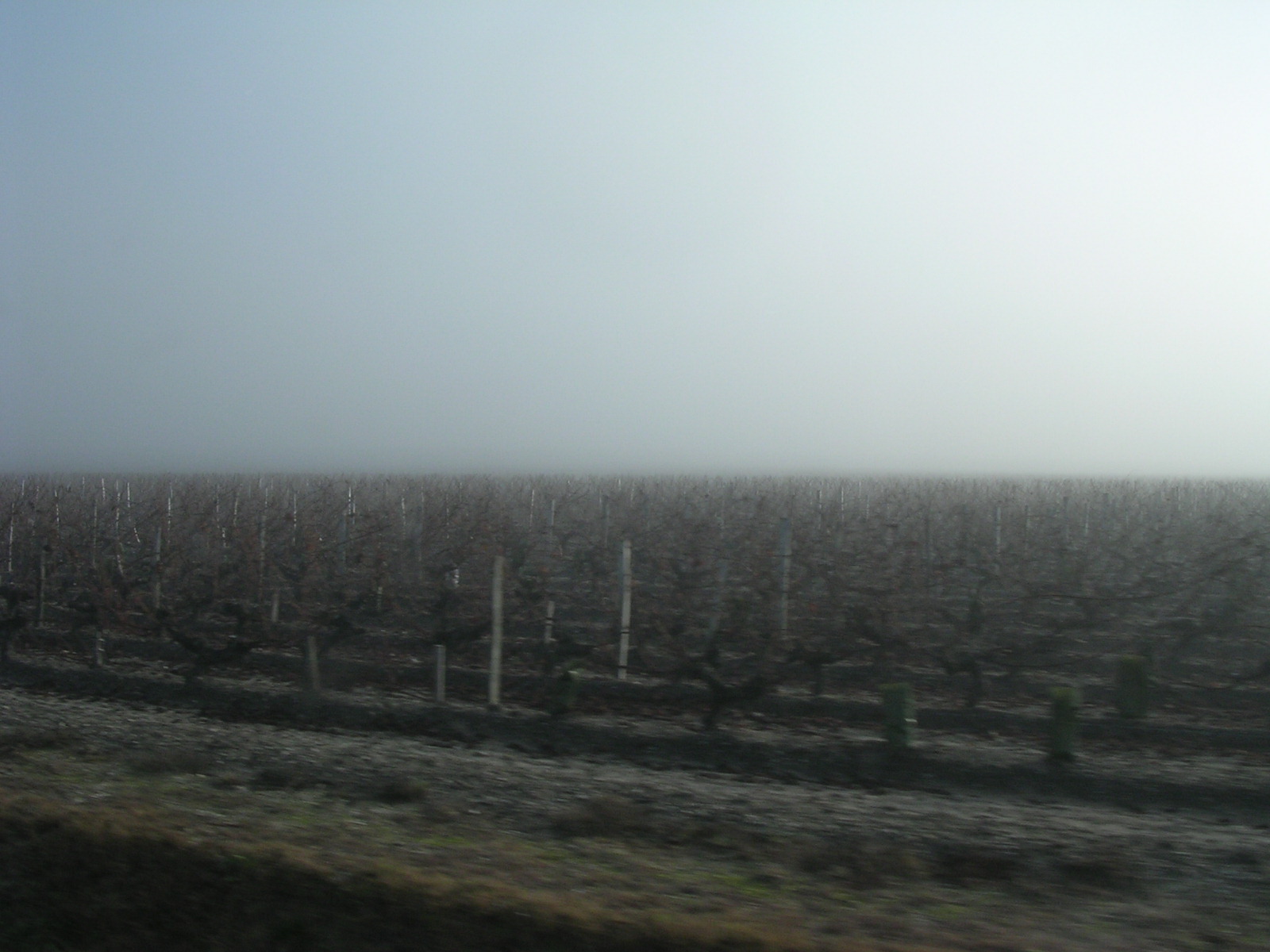 dscn0787.jpg