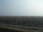 dscn0787.jpg