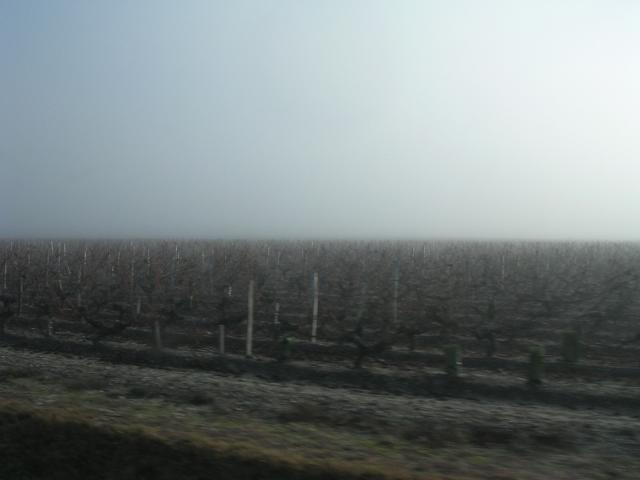 dscn0787.jpg